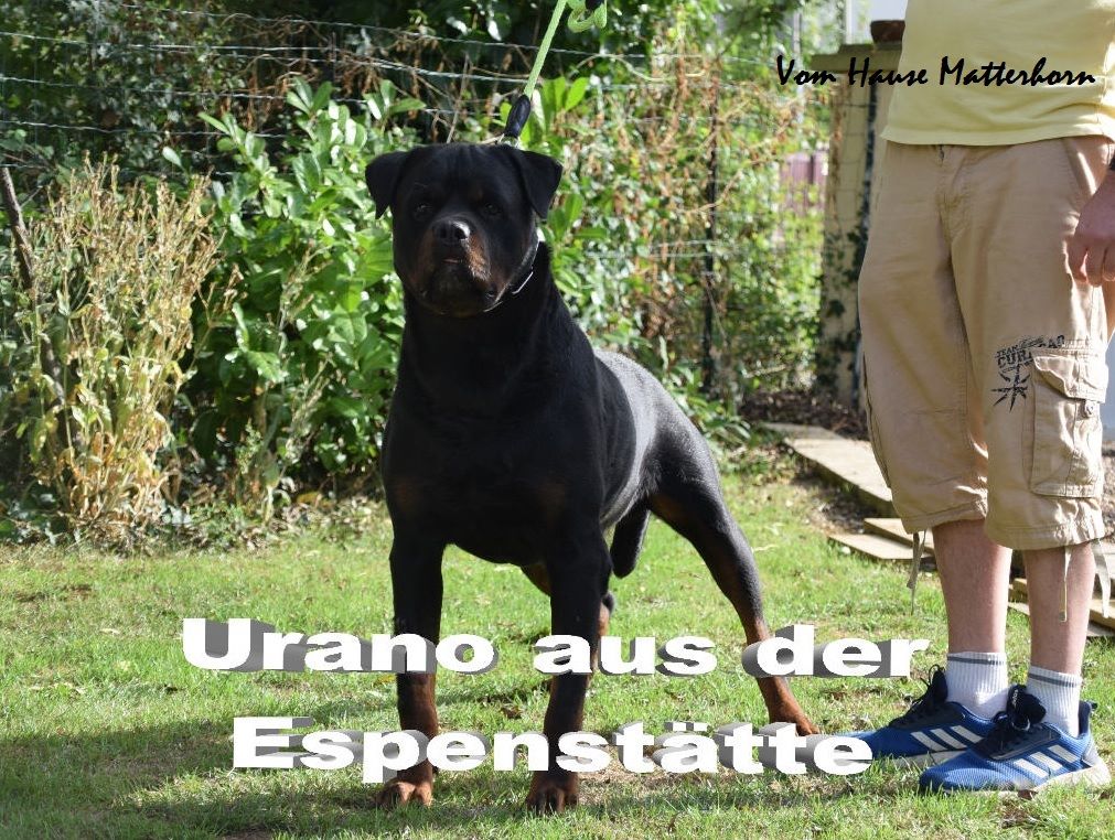 Urano aus der espenstätte