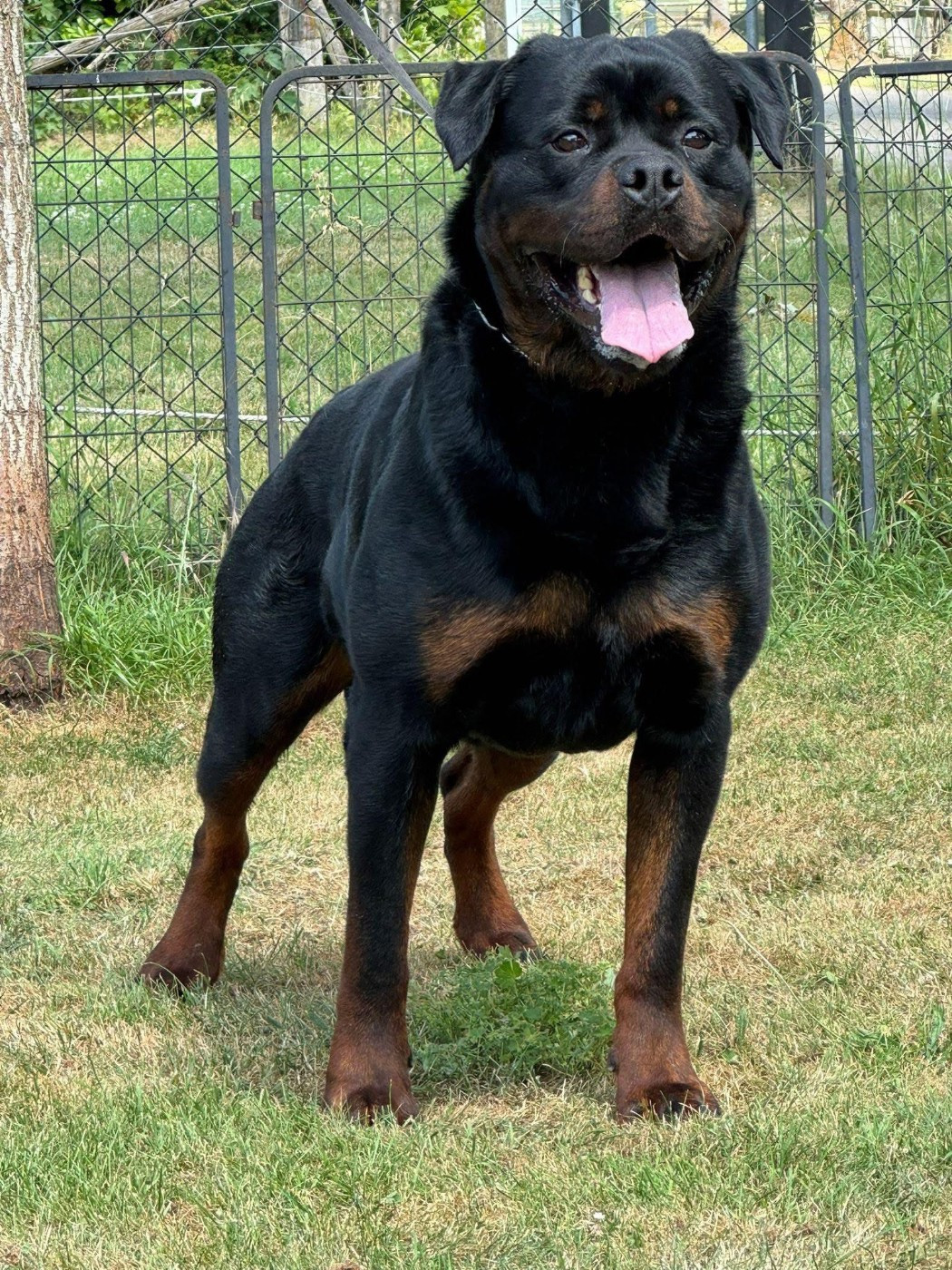 Mariage unique en France à naitre fin Novembre 2025 !