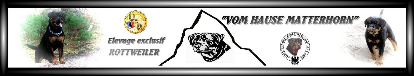 Prochaines portées début 2026