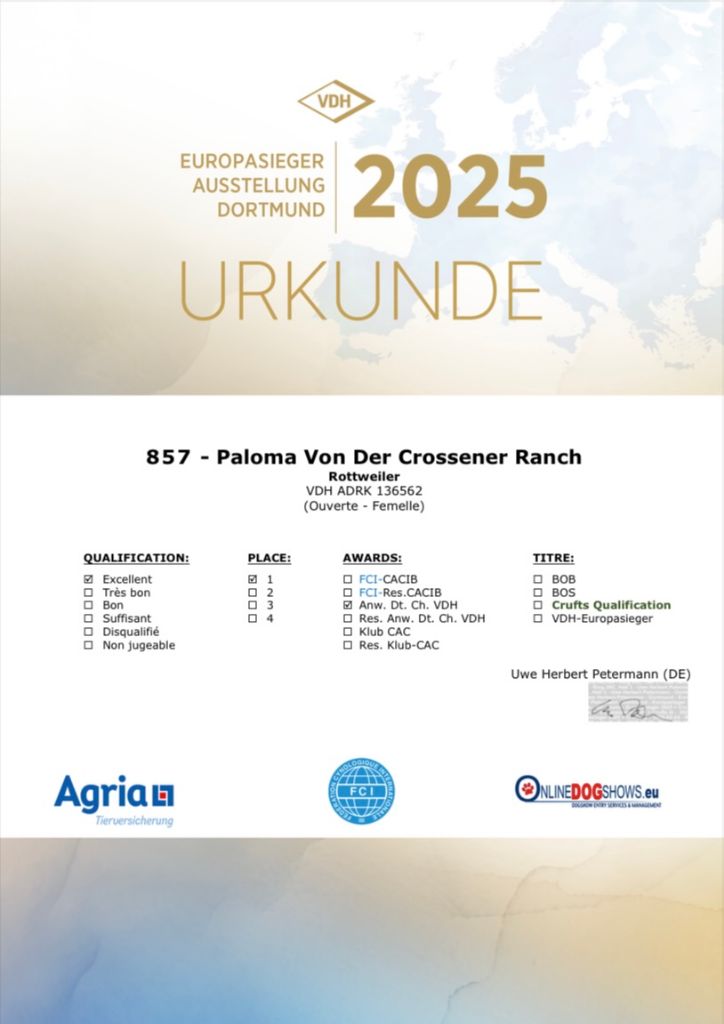 Europasieger 2025 dortmund 24/05/2025